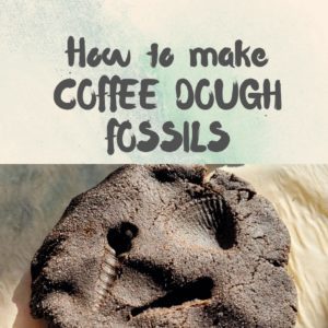 how to make coffee dough fossils