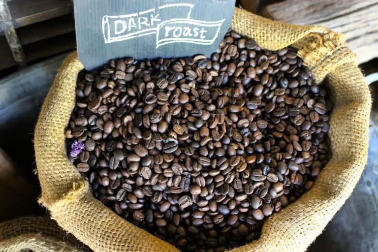 What is the best coffee beans for beginners?